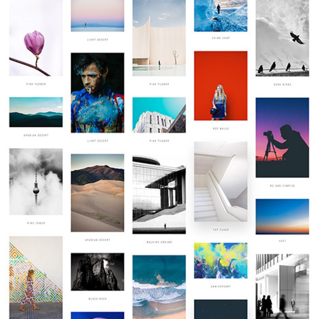 phlox-theme-photography